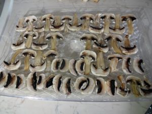 Food dryer tray with sliced mushrooms